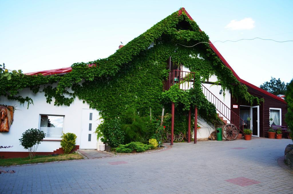 Folwark Leszczynowka Villa Srebrna Gora Exterior photo