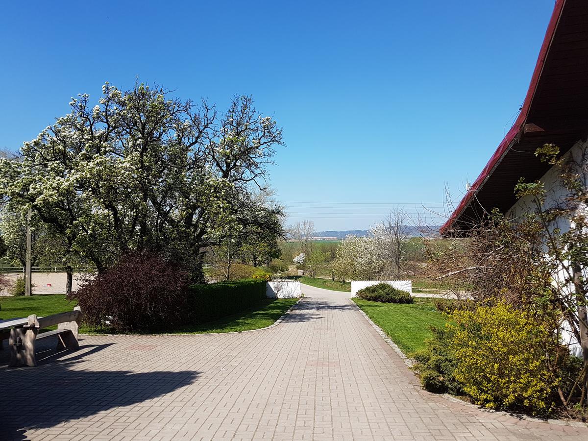 Folwark Leszczynowka Villa Srebrna Gora Exterior photo